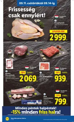 Lidl akciós ujság - amely érvényes a következő dátumtól: 11.09.2025 | Oldal: 10