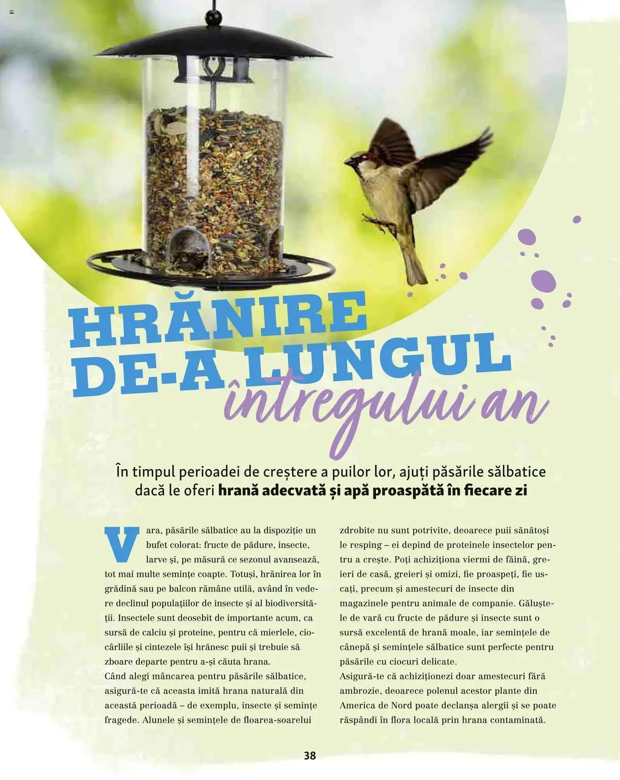 Catalog Fressnapf - Vară – valabil de la 05.05.2025 | Pagină: 38 | Produse: Bufet, Semințe, Apă, Fructe