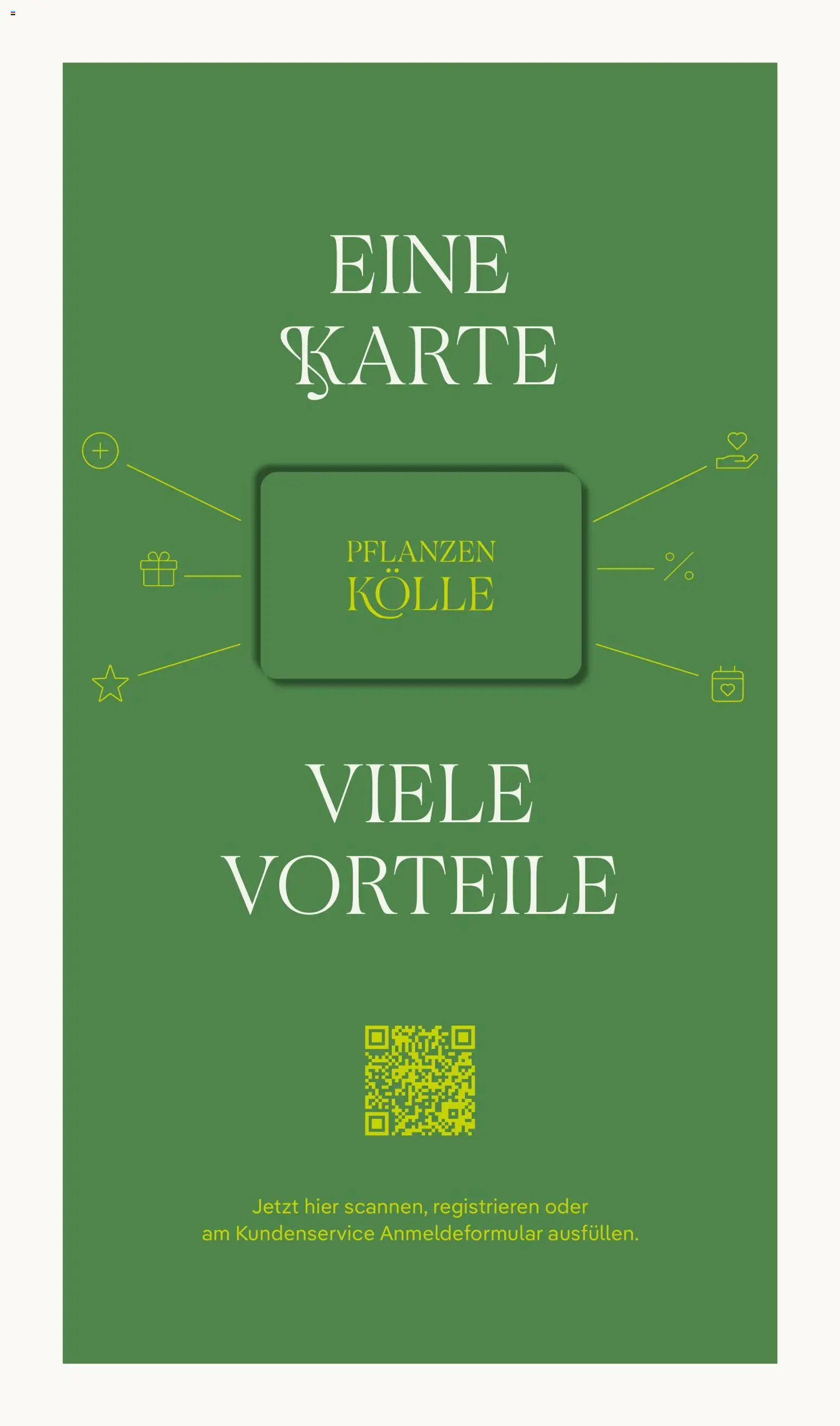 Pflanzen-Kölle Prospekt 	 – gültig ab 17.11.2025 | Seite: 17