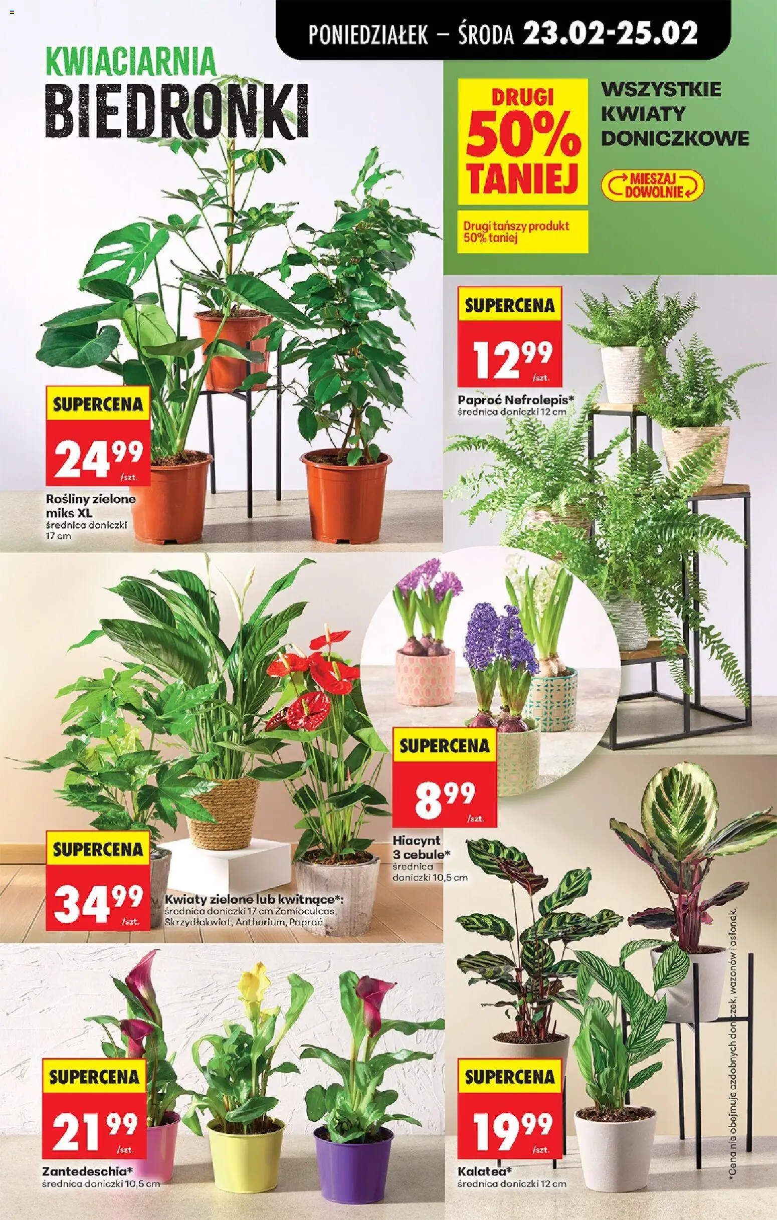 Biedronka Polsko leták od 23.02.2026 | Strana: 25