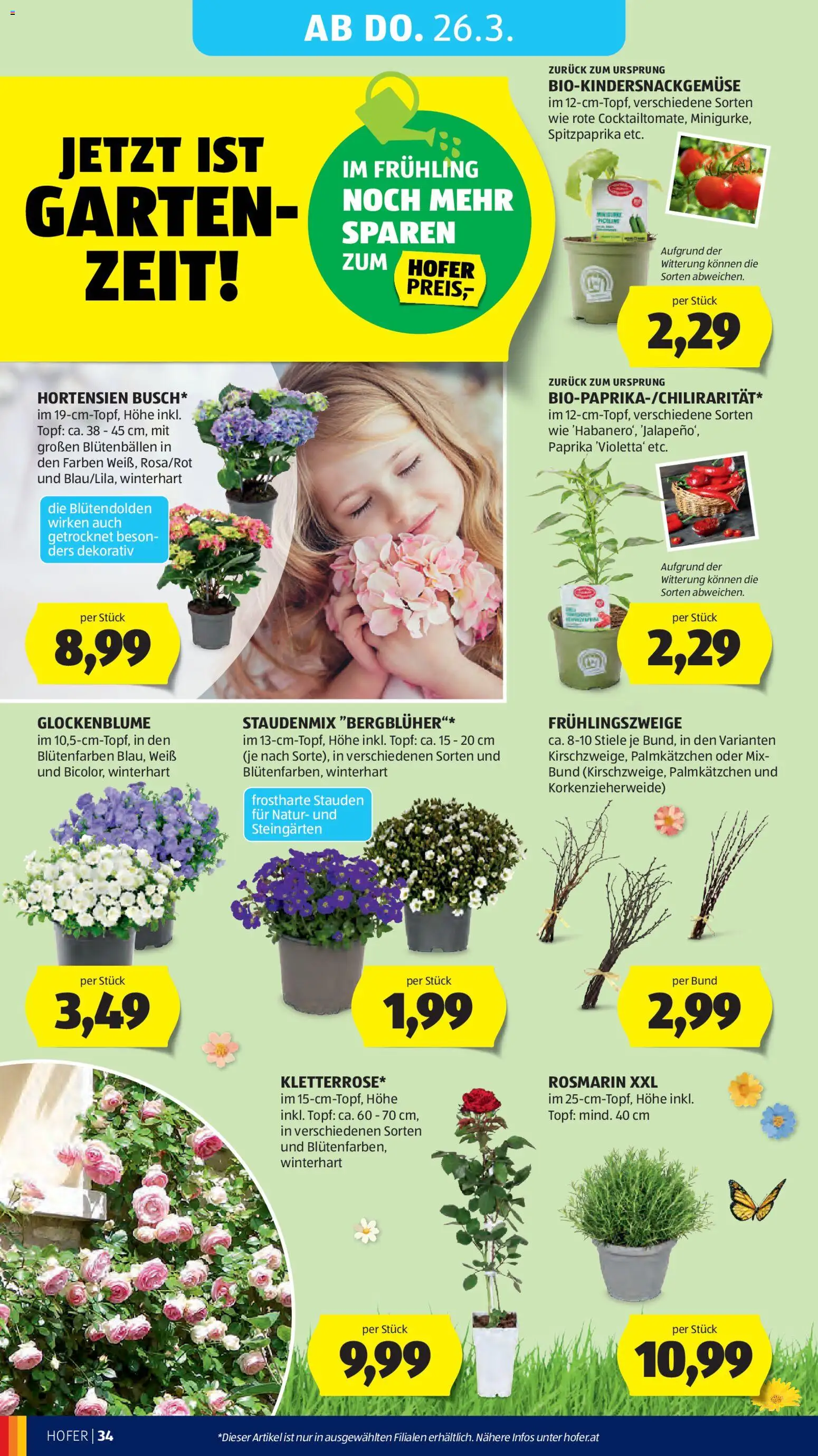 Hofer AT akciós ujság - amely érvényes a következő dátumtól: 20.03.2026 | Oldal: 42