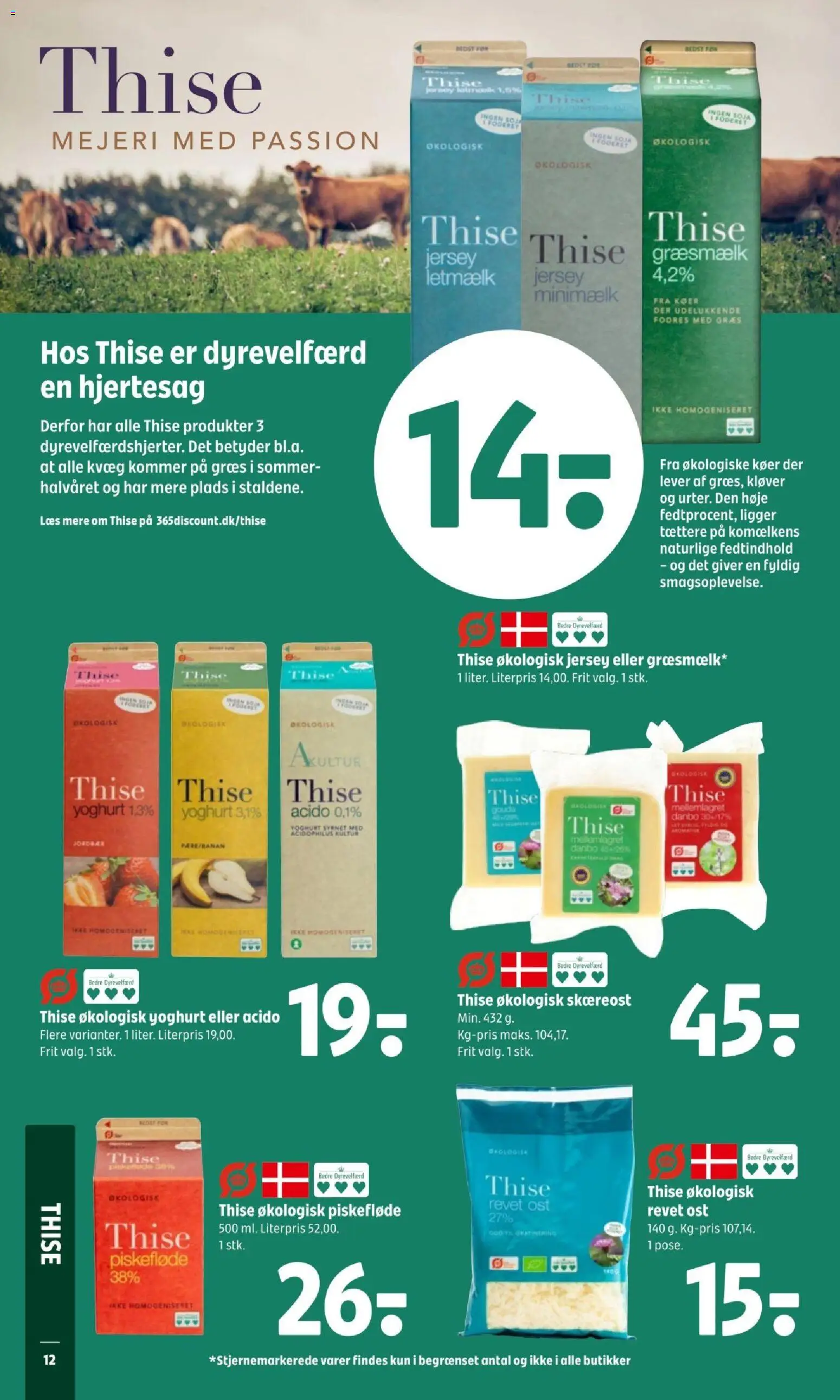 Coop 365 tilbudsavis – gyldig fra 05.03.2026 | Side: 14 | Produkter: Ost, Yoghurt, Jordbær, Jogo de ferramentas