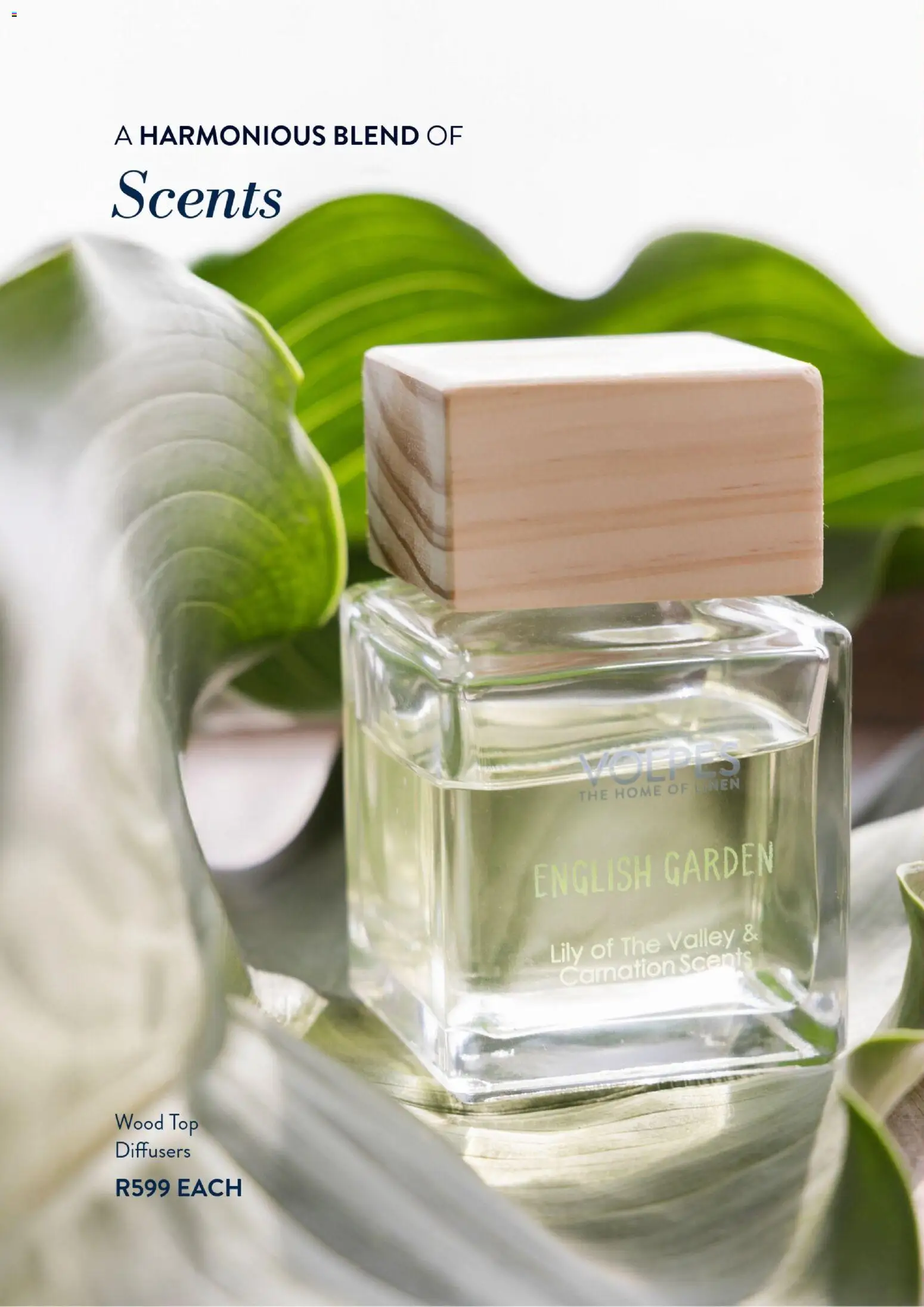 New Volpes catalogue – valid from 01.01.2026 | Page: 22