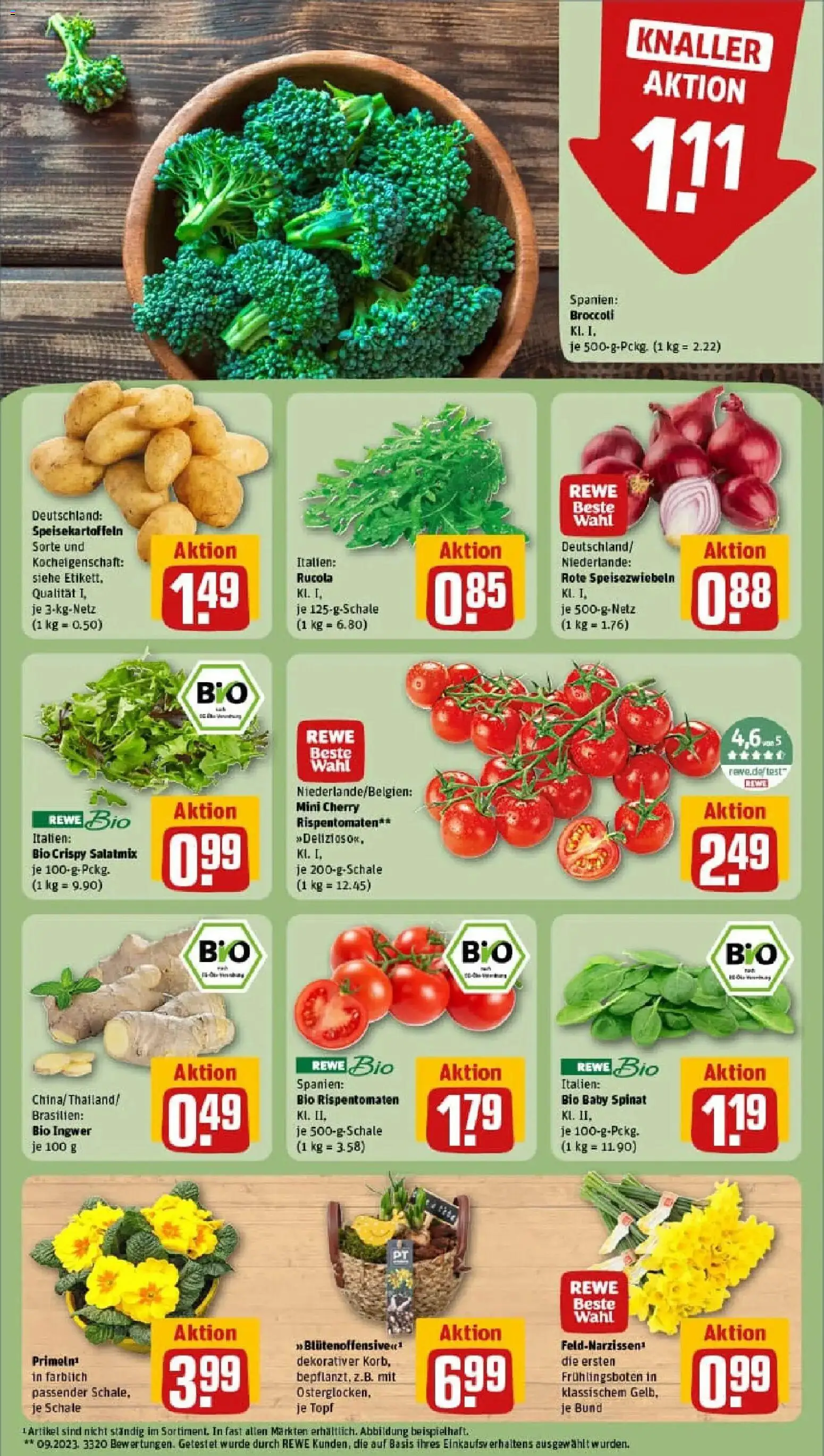 Rewe prospekt Filderstadt	 – gültig ab 26.01.2026 | Seite: 7 | Produkte: Rucola