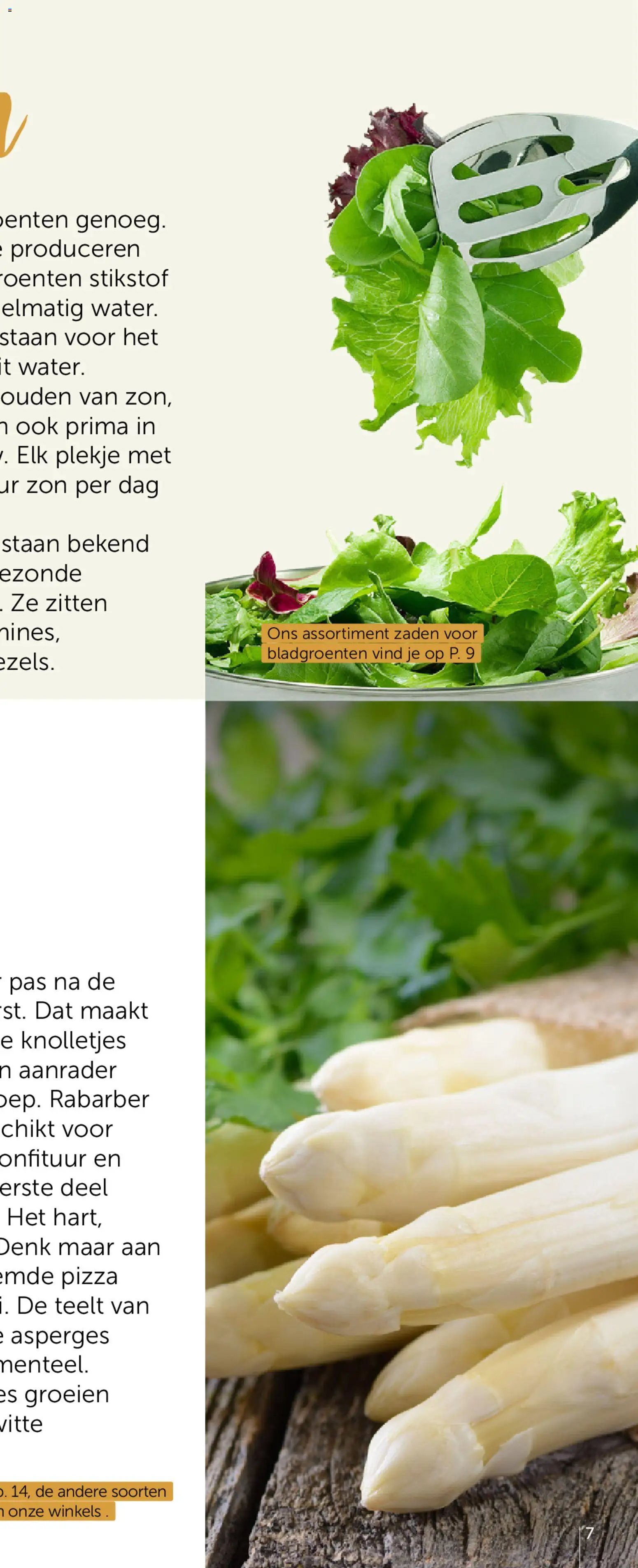 {H1} | Pagina: 13 | Producten: Pizza, Asperges