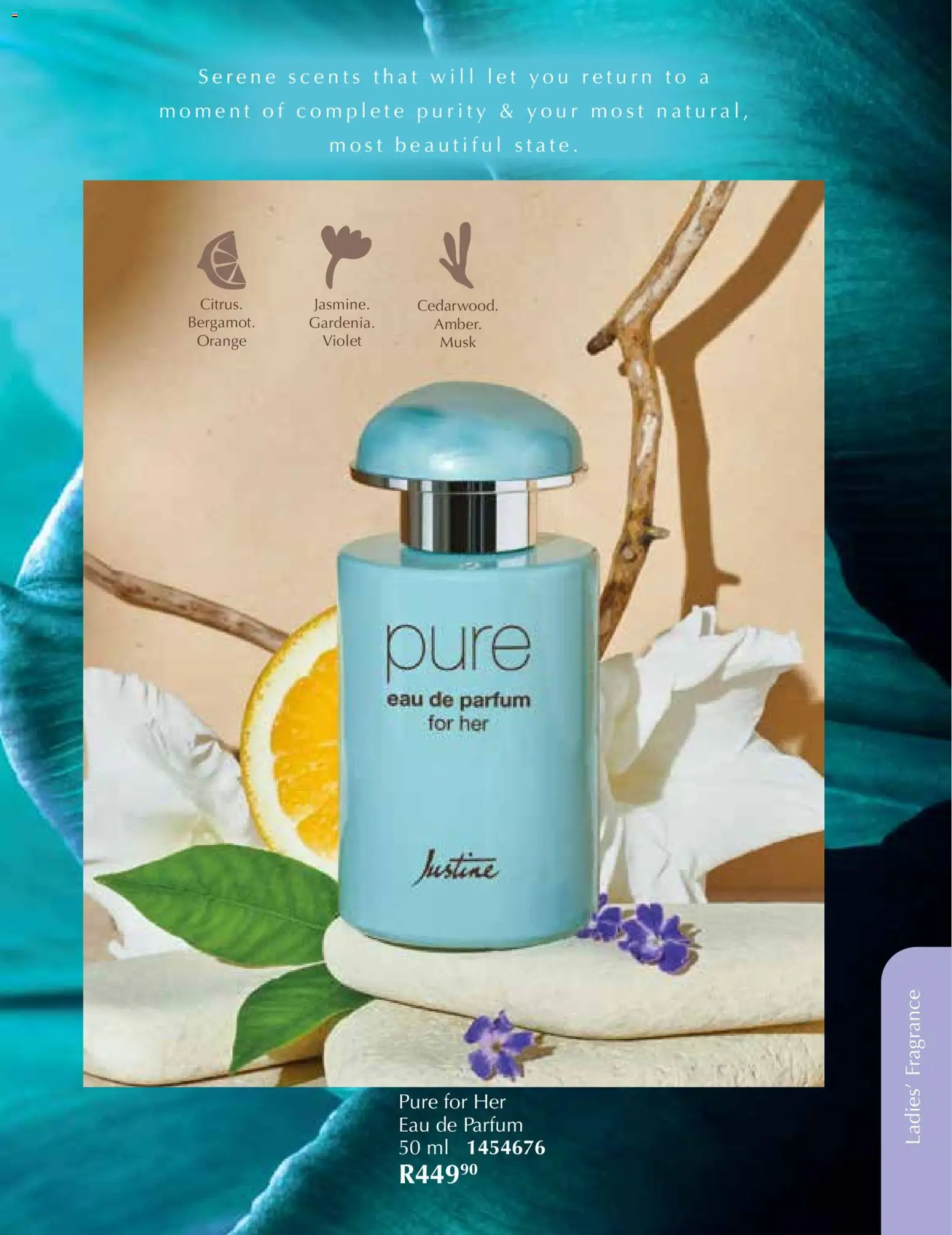 New Justine catalogue – valid from 01.12.2025 | Page: 53