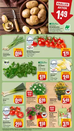 Rewe DE - DE Folder - Voorbeeld van een folder van Rewe DE, geldig van 27.04.2026 | Pagina: 7 | Producten: Tomaten