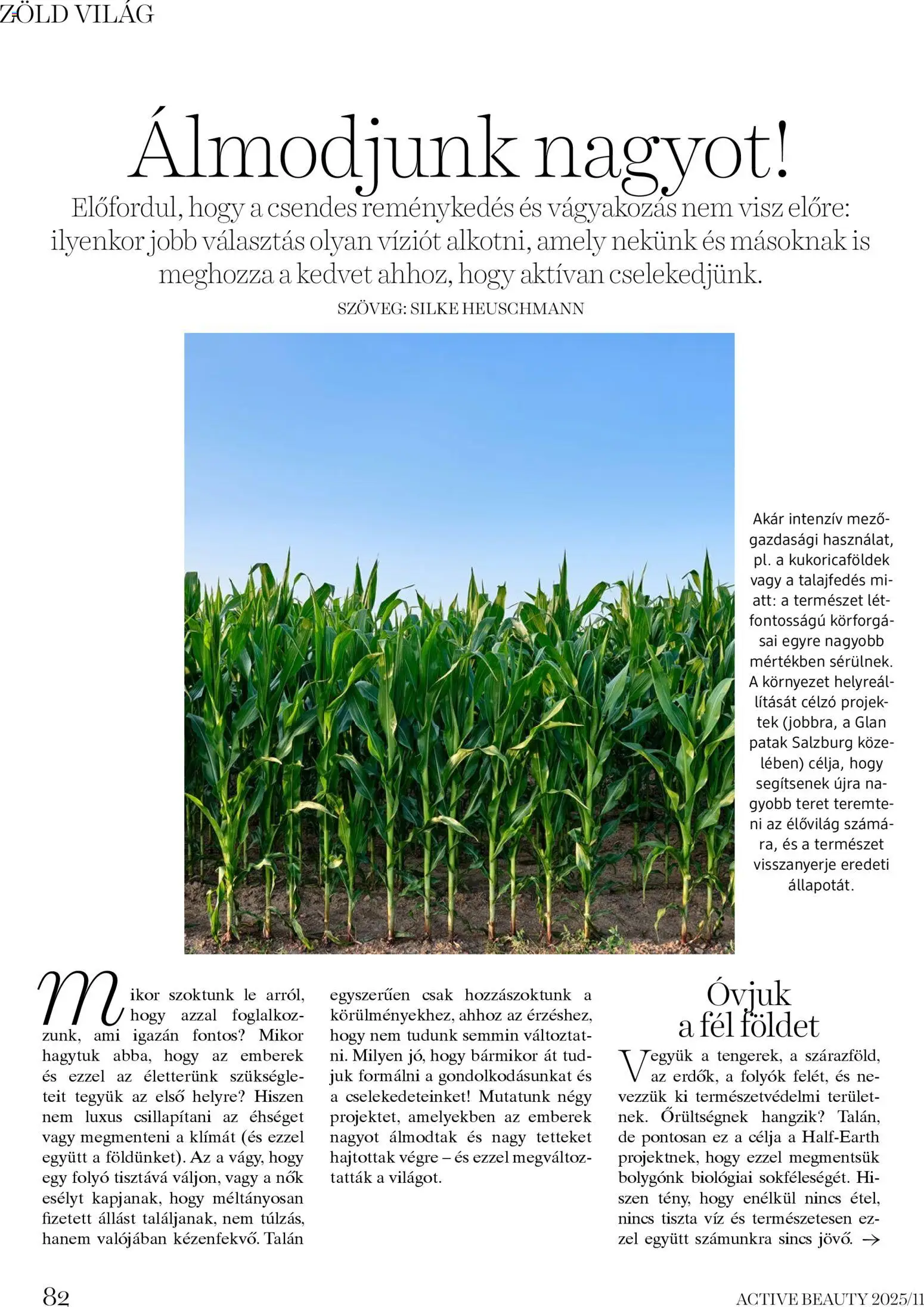 DM Drogerie Markt akciós ujság - amely érvényes a következő dátumtól: 13.11.2025 | Oldal: 82