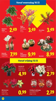 Kerst-arrangement in glazen bol, Christmas arrangement in glass bowl - Voorbeeld van een folder van Lidl, geldig van 08.12.2025 | Pagina: 27