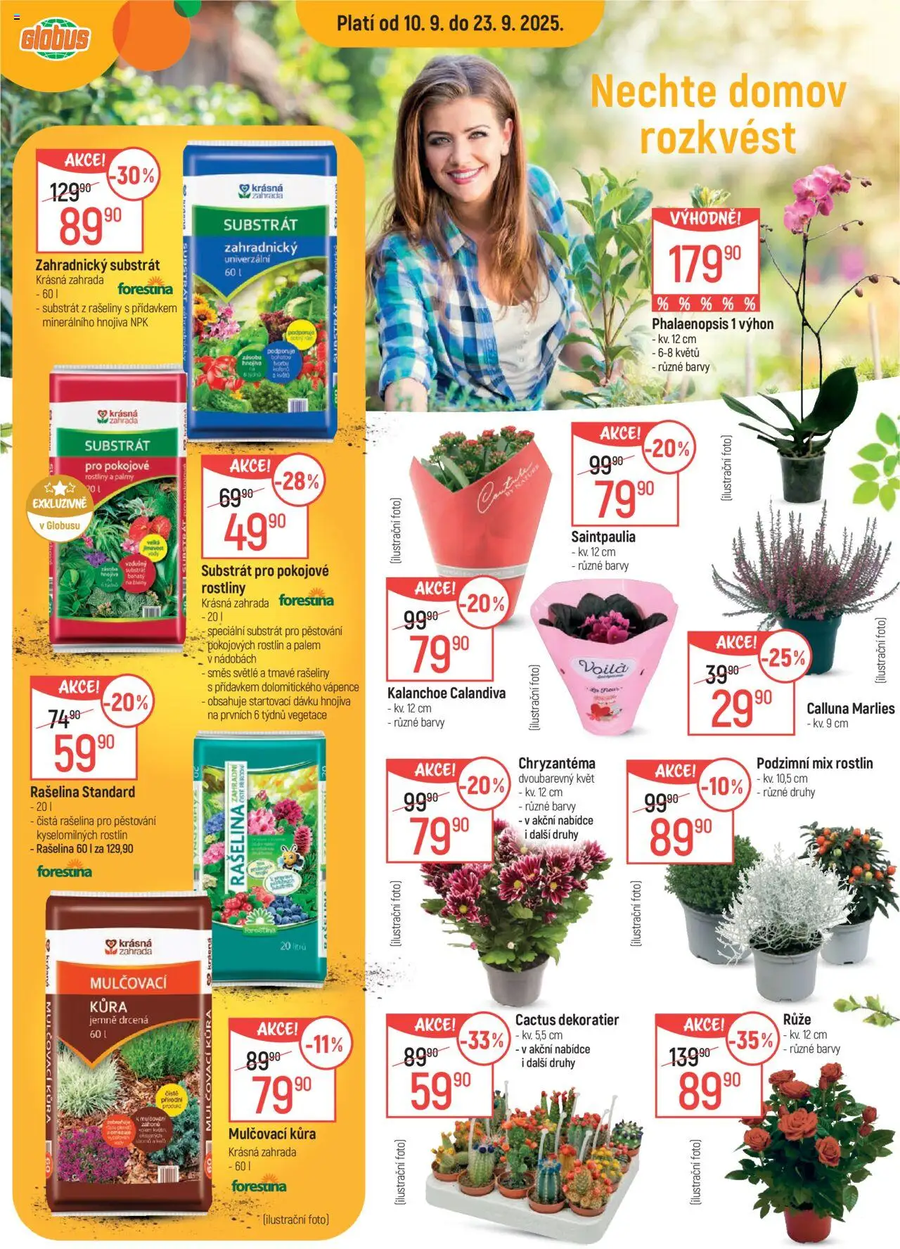 Globus leták - Opava od 10.09.2025 | Strana: 12 | Produkty: Kalanchoe, Zahrada, Mulčovací kůra, Zahradnický substrát