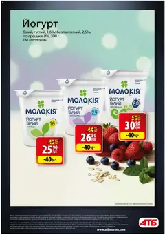 АТБ акції дійснийкції з 26.11.2025 | Сторінка: 8 | Товари: Йогурт