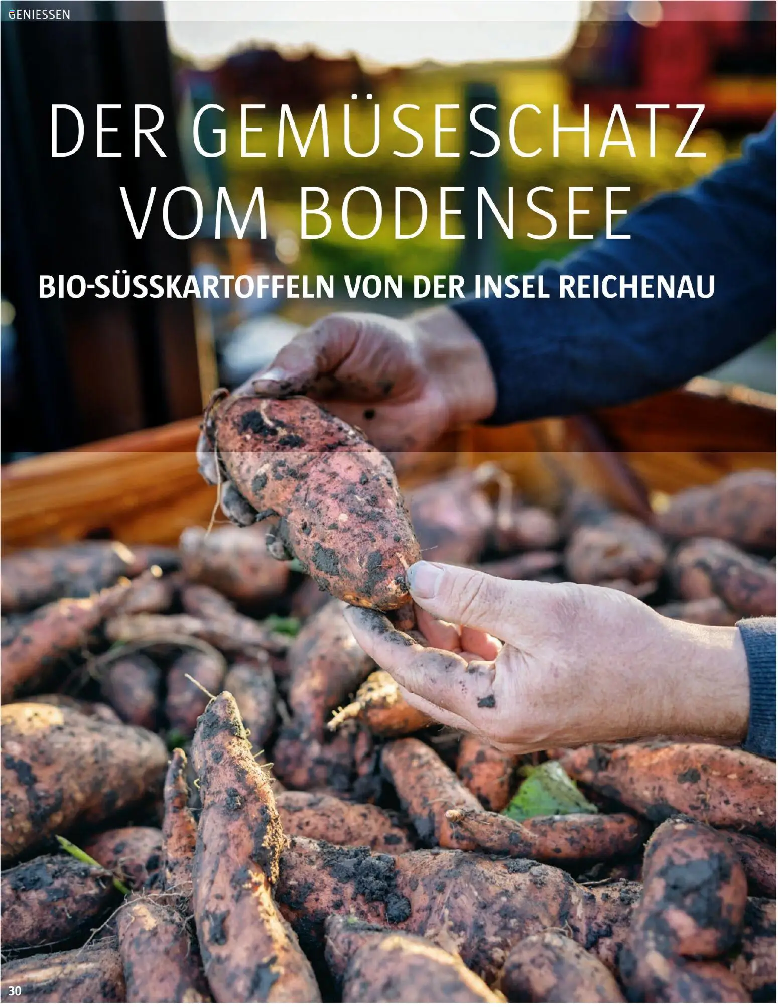 Sutterlüty B’sundrig Magazine gültig ab 17.11.2025 | Seite: 30