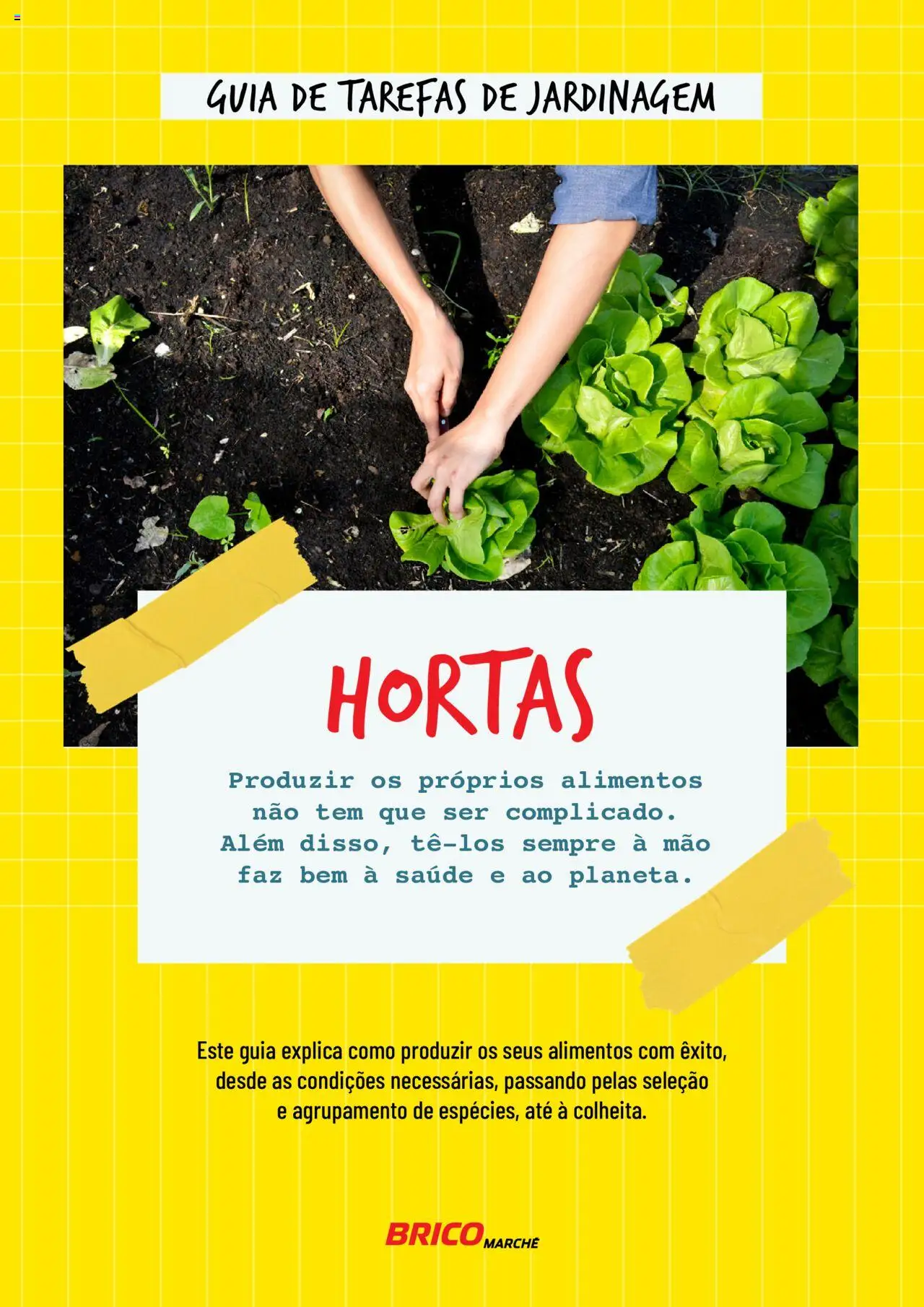 BricoMarché Hortas │ válido de 17.01.2024 | Página: 1