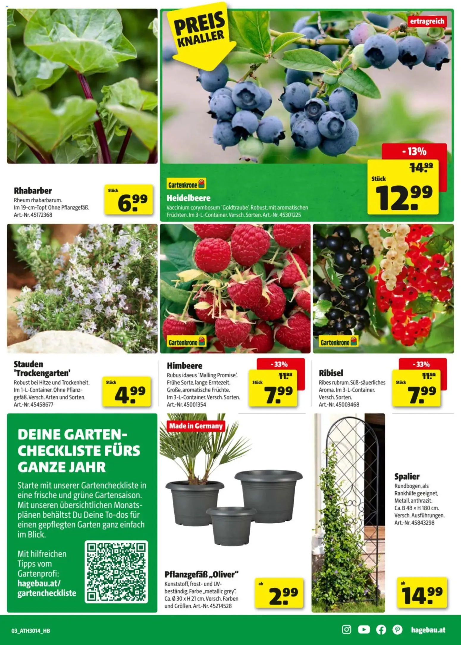 Hagebau Flugblatt gültig ab 27.04.2026 | Seite: 3 | Produkte: Himbeere