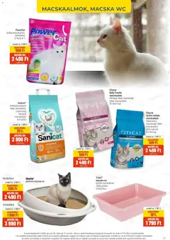 AlphaZoo Akciós újság - amely érvényes a következő dátumtól: 26.01.2026 | Oldal: 17