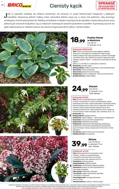 Pogląd oferty "Brico Marché gazetka - Wiosna" - ważna od 04.03.2026 | Strona: 72 | Produkty: Ziemia, Rosliny, Doniczki, Kwiaty