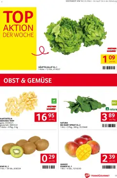 Transgourmet Flugblatt ab 30.03.2026 gültig | Seite: 13 | Produkte: Kartoffeln, Gemüse, Obst, Mango