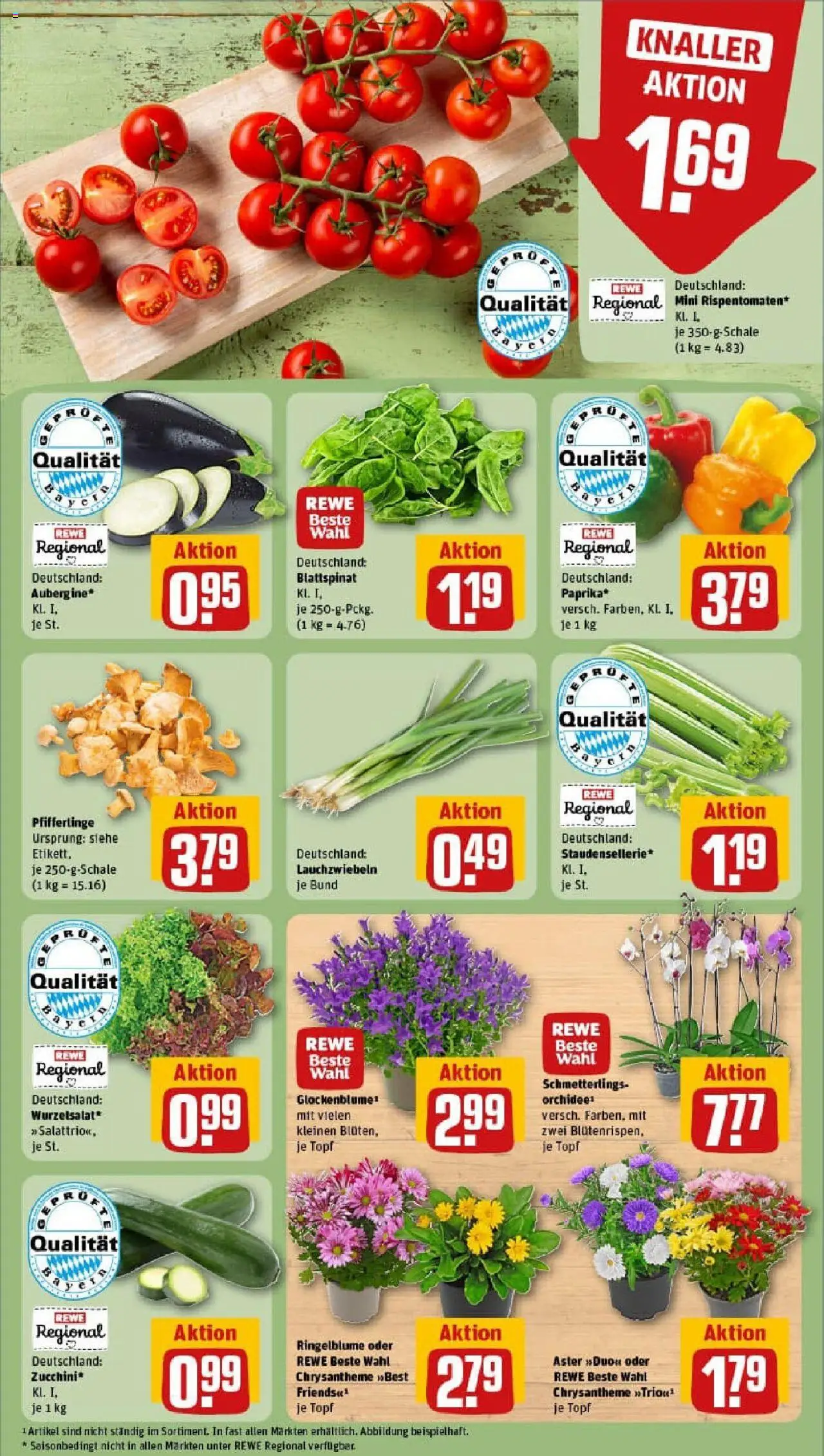 Rewe prospekt Nordheim V.d. Rhön	 - gültig ab dem 11.08.2025 | Seite: 7 | Produkte: Pfifferlinge, Zucchini
