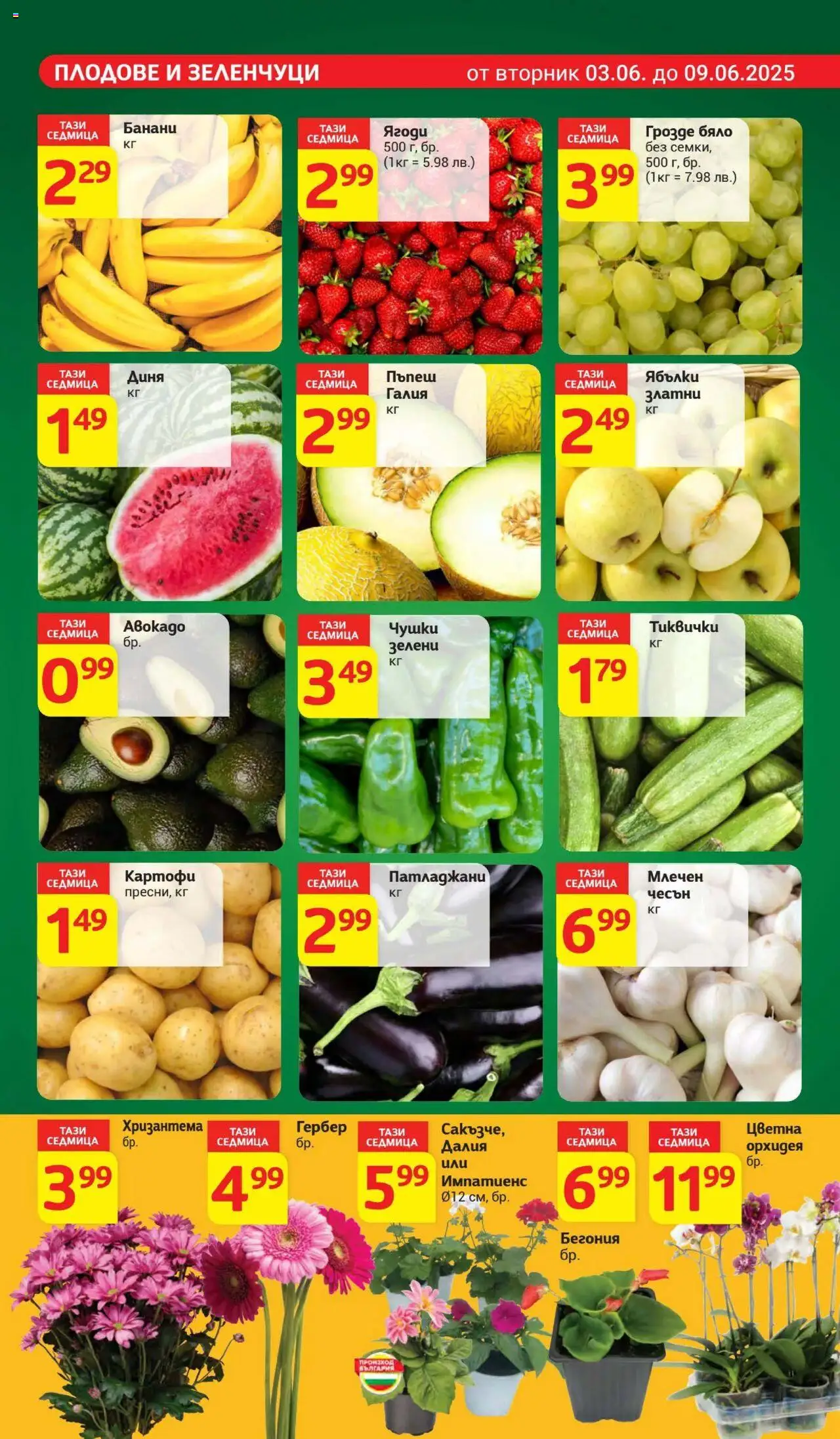  | Страница: 7 | Продукти: Плодове, Грозде, Банани, Орхидея
