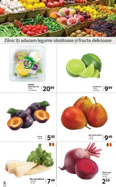 Noul catalog Selgros – valabil de la 05.09.2025 | Pagină: 6