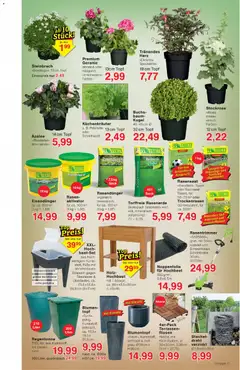 Wiglo Wunderland Prospekt ab 23.03.2026 gültig | Seite: 9