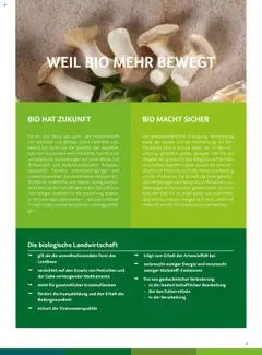 Transgourmet Gemeinsam einfach nachhaltiger ab 22.07.2024 gültig | Seite: 3 | Produkte: Regal