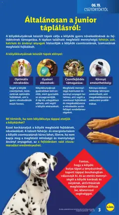 Lidl akciós ujság - amely érvényes a következő dátumtól: 19.06.2025 | Oldal: 3