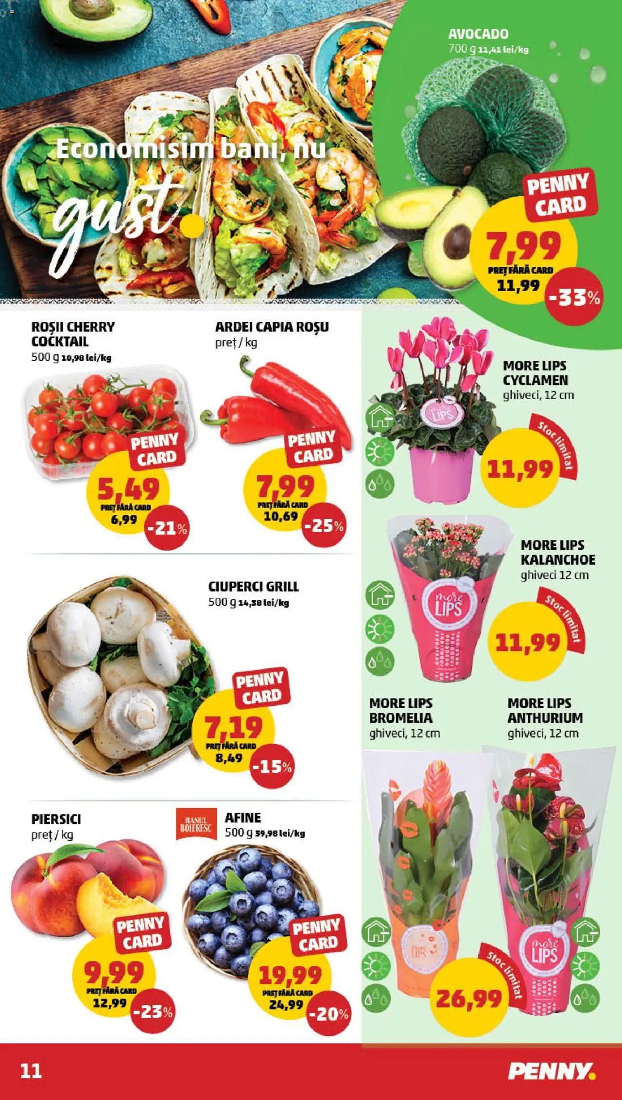 Catalog PENNY – valabil de la 13.08.2025 | Pagină: 11 | Produse: Afine, Bromelia, Ardei, Cocktail