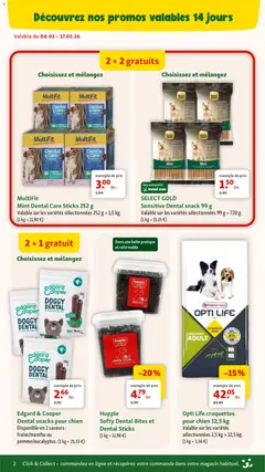 Maxi Zoo folder / publicité - Voorbeeld van een folder van Maxi Zoo, geldig van 04.02.2026 | Pagina: 2 | Producten: NOS, Snacks