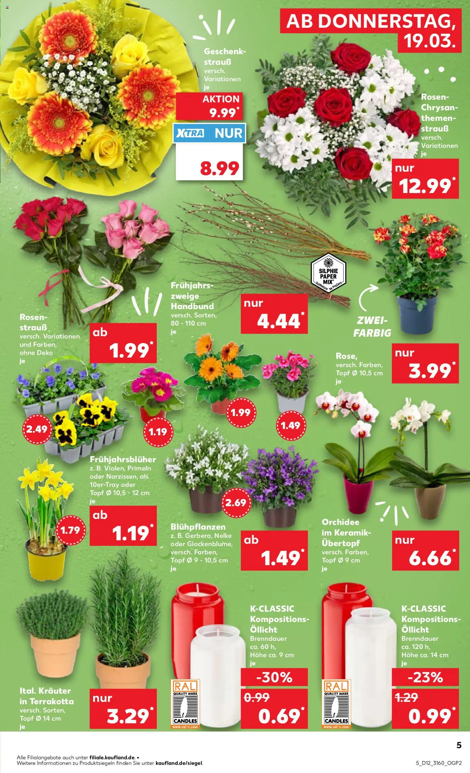 Kaufland Prospekt Frankfurt (Oder)	 – gültig ab 19.03.2026 | Seite: 5 | Produkte: Orchidee