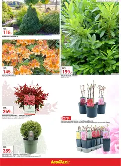 Náhled letáku BAUMAX leták - Jaro v zahradě  od 12.03.2026 | Strana: 3