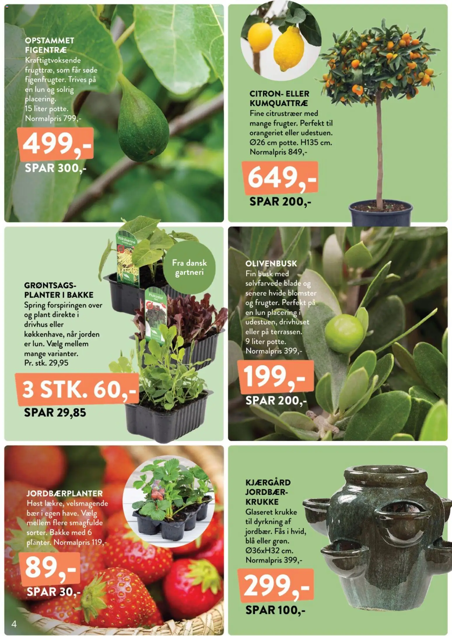 Plantorama tilbudsavis – gyldig fra 10.04.2026 | Side: 4 | Produkter: Jordbær, Krukke, Søm