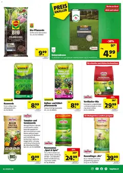 Hartlauer Angebote ab 24.03.2026 gültig | Seite: 5 | Produkte: Spiel, Tomaten