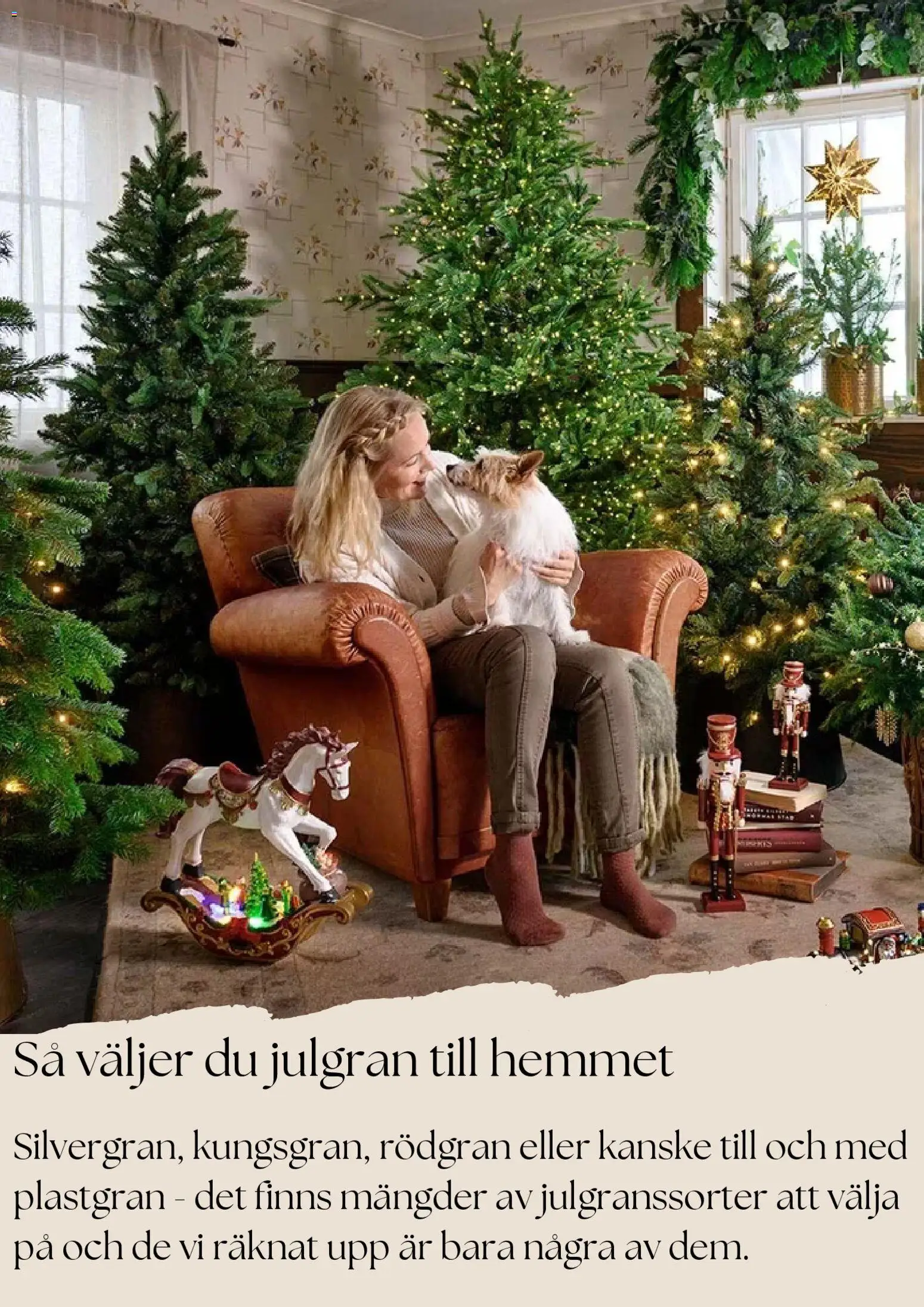 Plantagen reklamblad aktuell från 27.11.2025 | Sida: 7