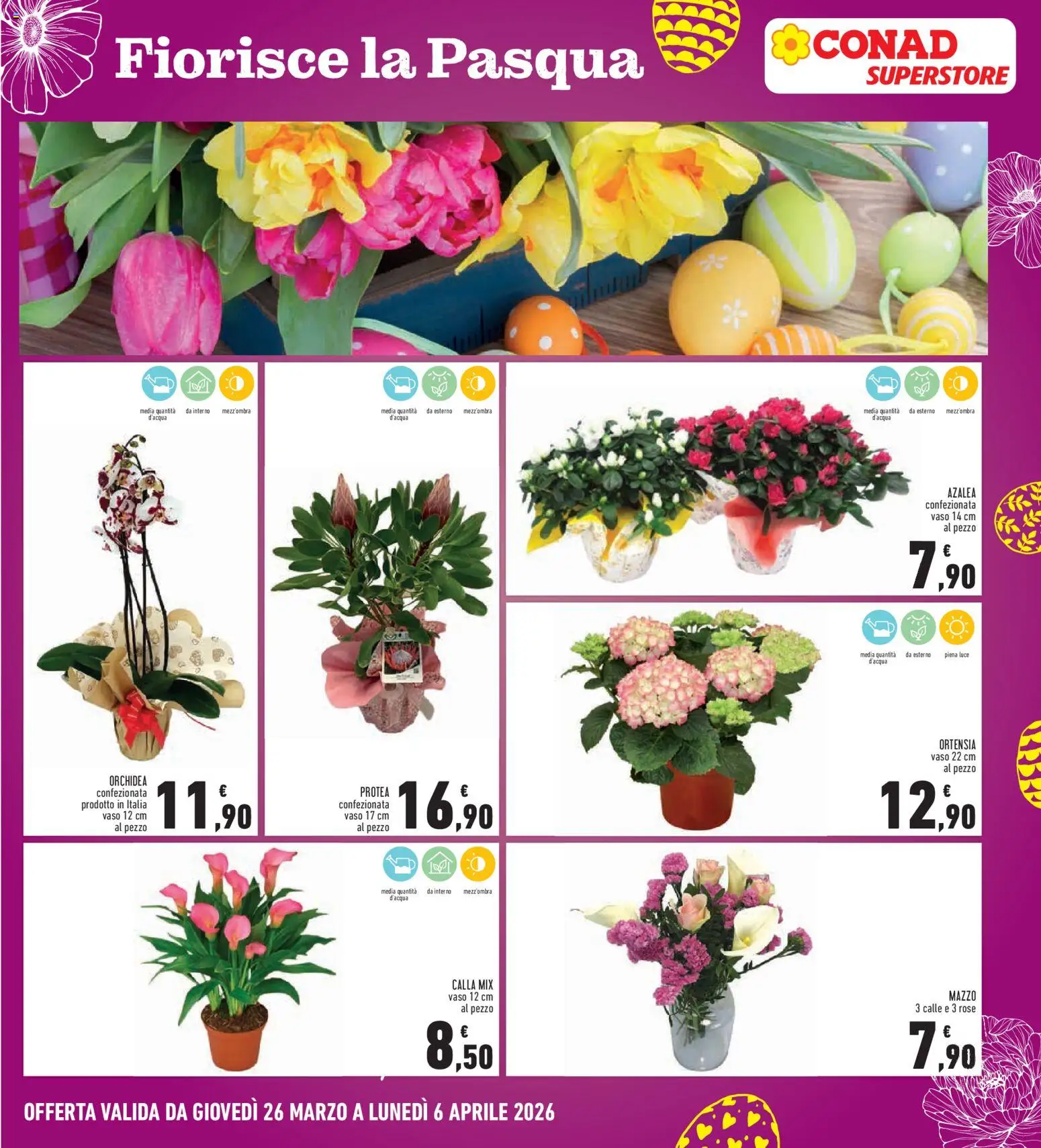 Volantino Conad del 26.03.2026 | Pagina: 33 | Prodotti: Orchidea, Vaso