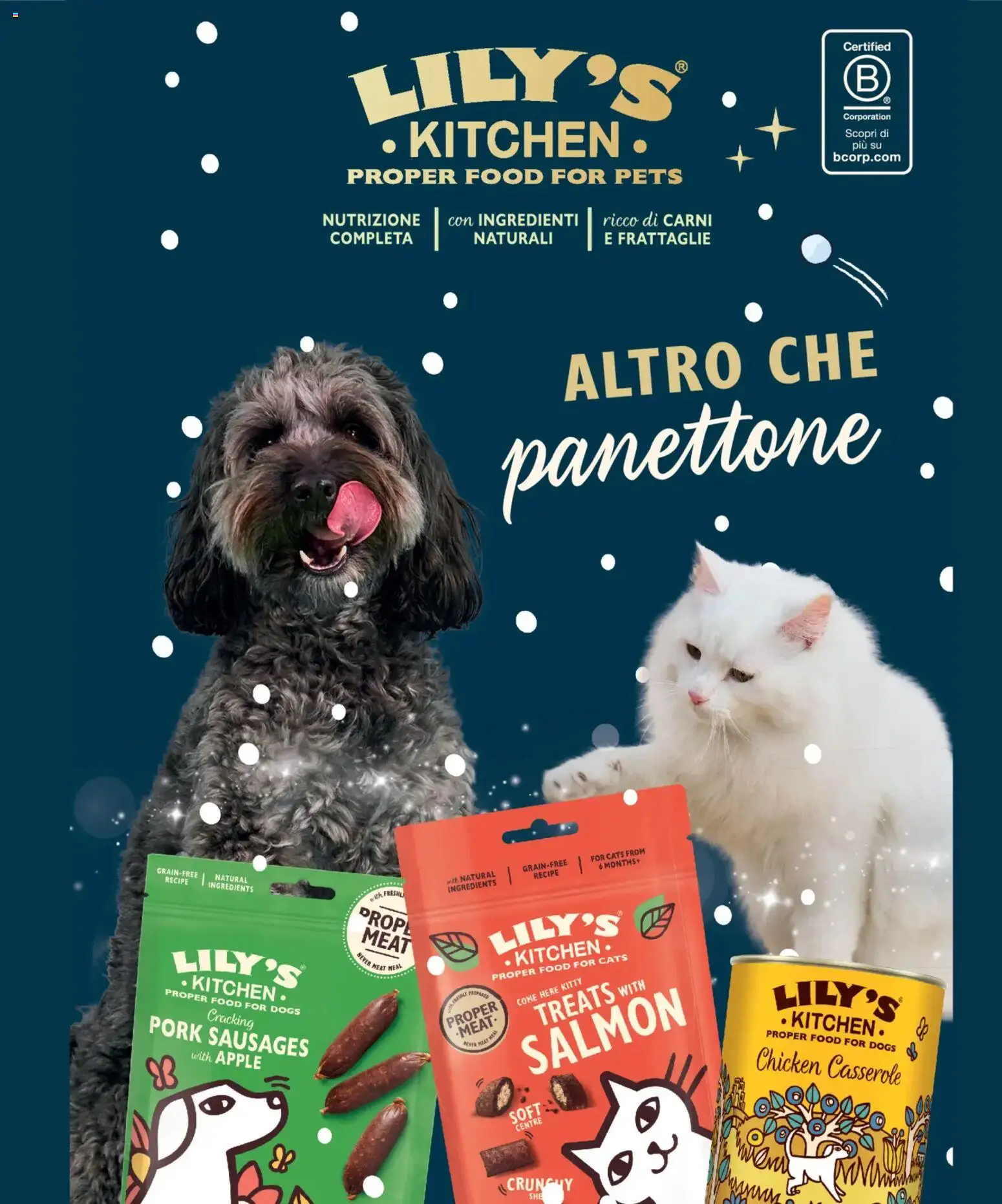 Volantino Arcaplanet del 15.12.2025 | Pagina: 6 | Prodotti: Panettone