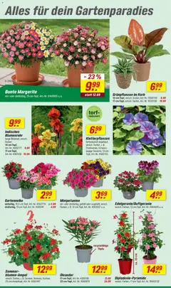 Toom Baumarkt Prospekt 	 ab 25.04.2026 gültig | Seite: 4 | Produkte: Korb