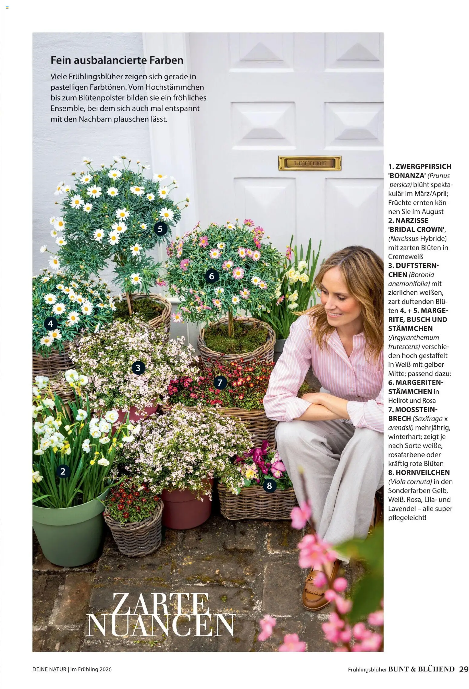 Dehner Flugblatt gültig ab 05.03.2026 | Seite: 29