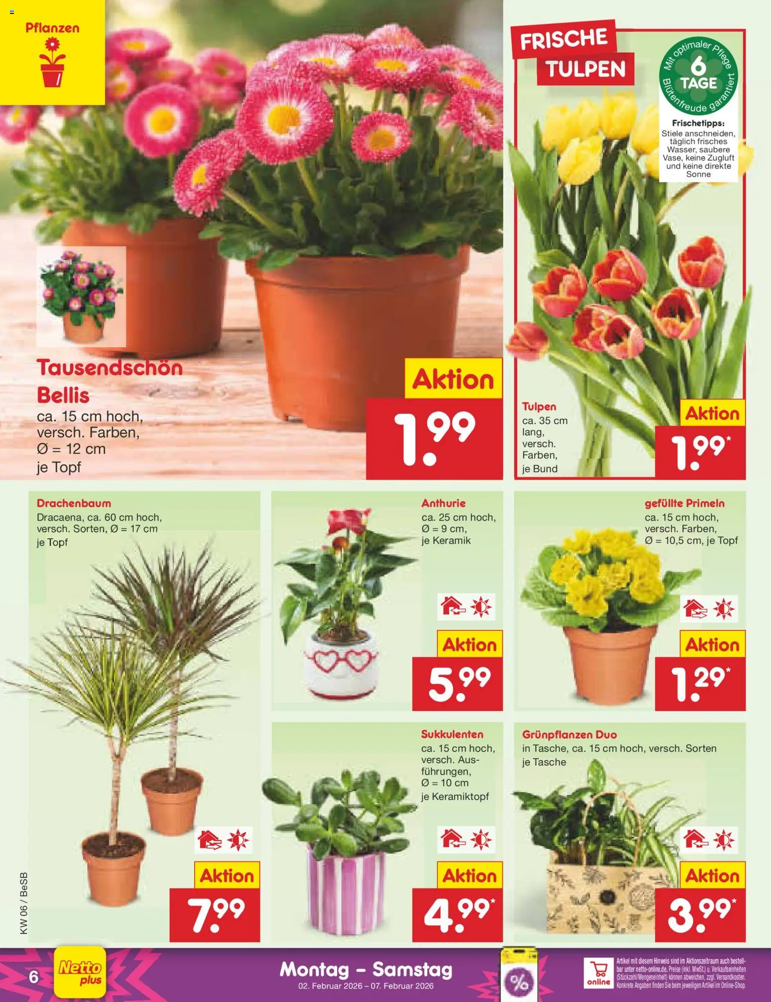 Netto Marken-Discount Prospekt 	 – gültig ab 02.02.2026 | Seite: 6 | Produkte: Tasche