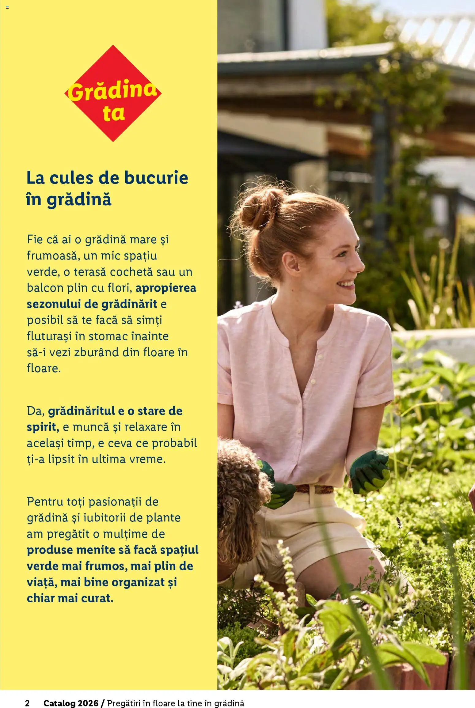 Noul catalog Lidl – valabil de la 19.02.2026 | Pagină: 2