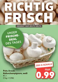 Kaufland DE - DE Folder - Voorbeeld van een folder van Kaufland DE, geldig van 17.10.2025