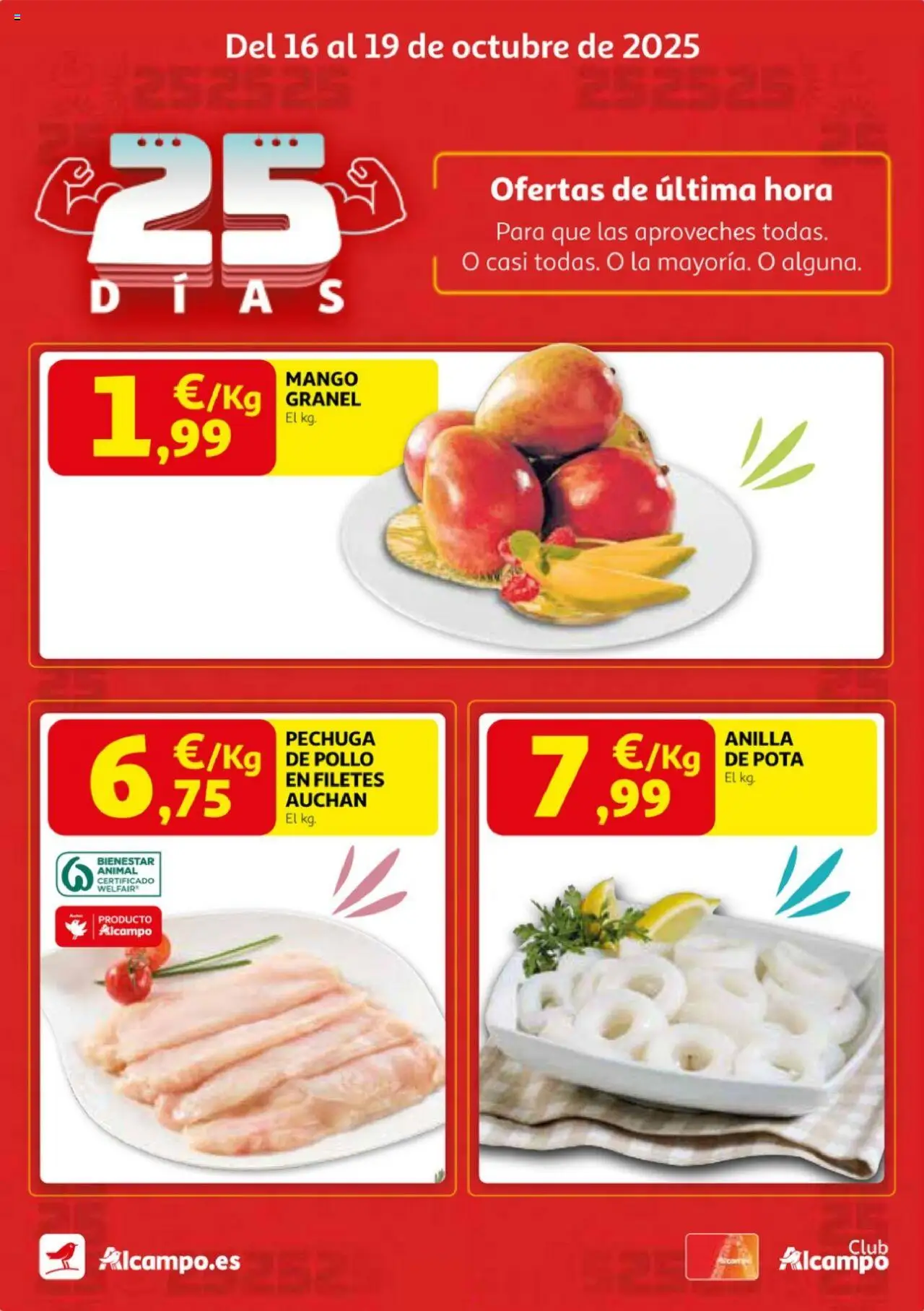 Alcampo - Pasamanos  │ válido desde el 16.10.2025 | Página: 1 | Productos: Ρούτερ