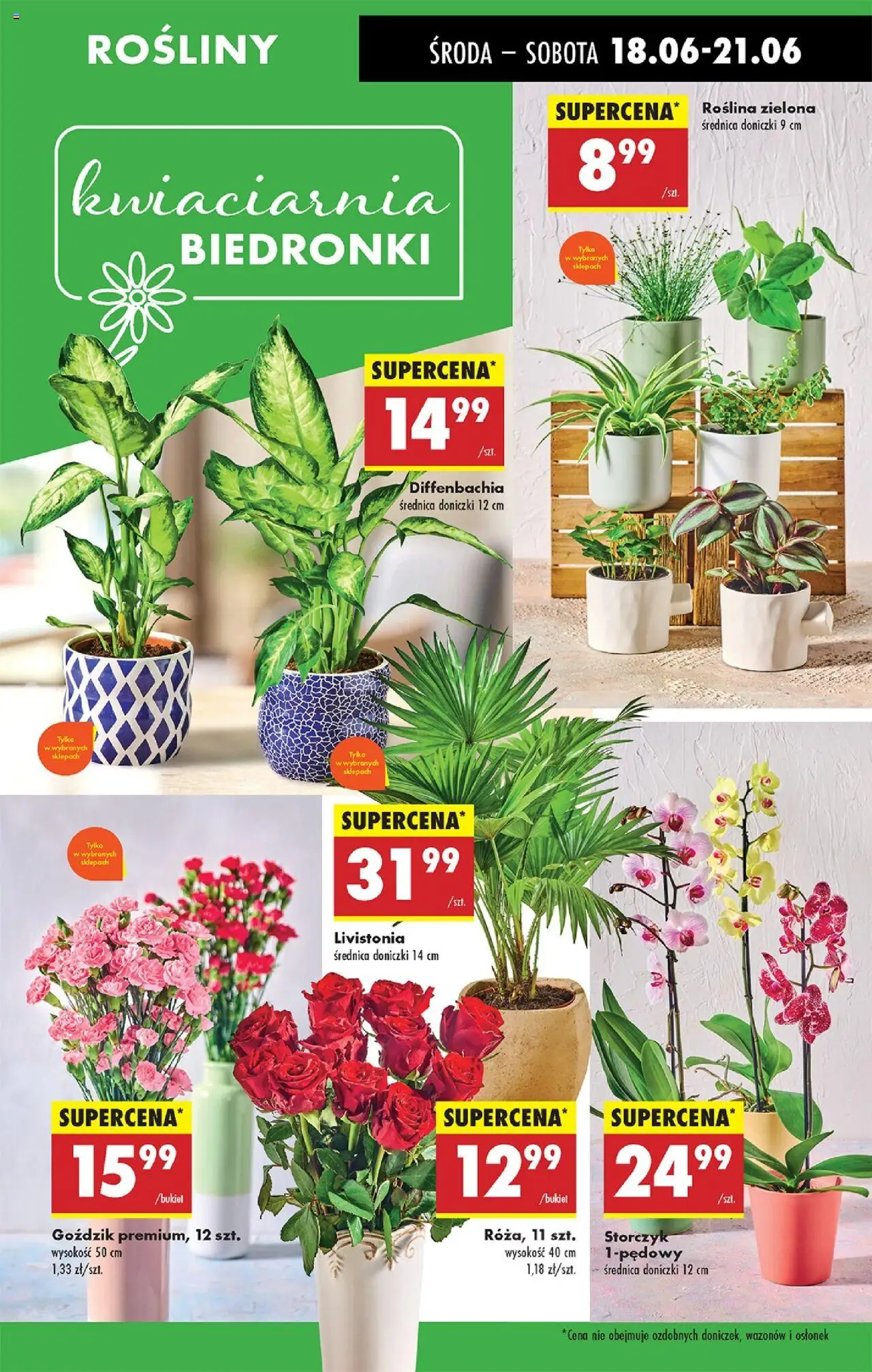 Biedronka gazetka - Oferta W tym tygodniu od 18.06.2025 | Strona: 26 | Produkty: Goździk, Rosliny, Doniczki, Storczyk