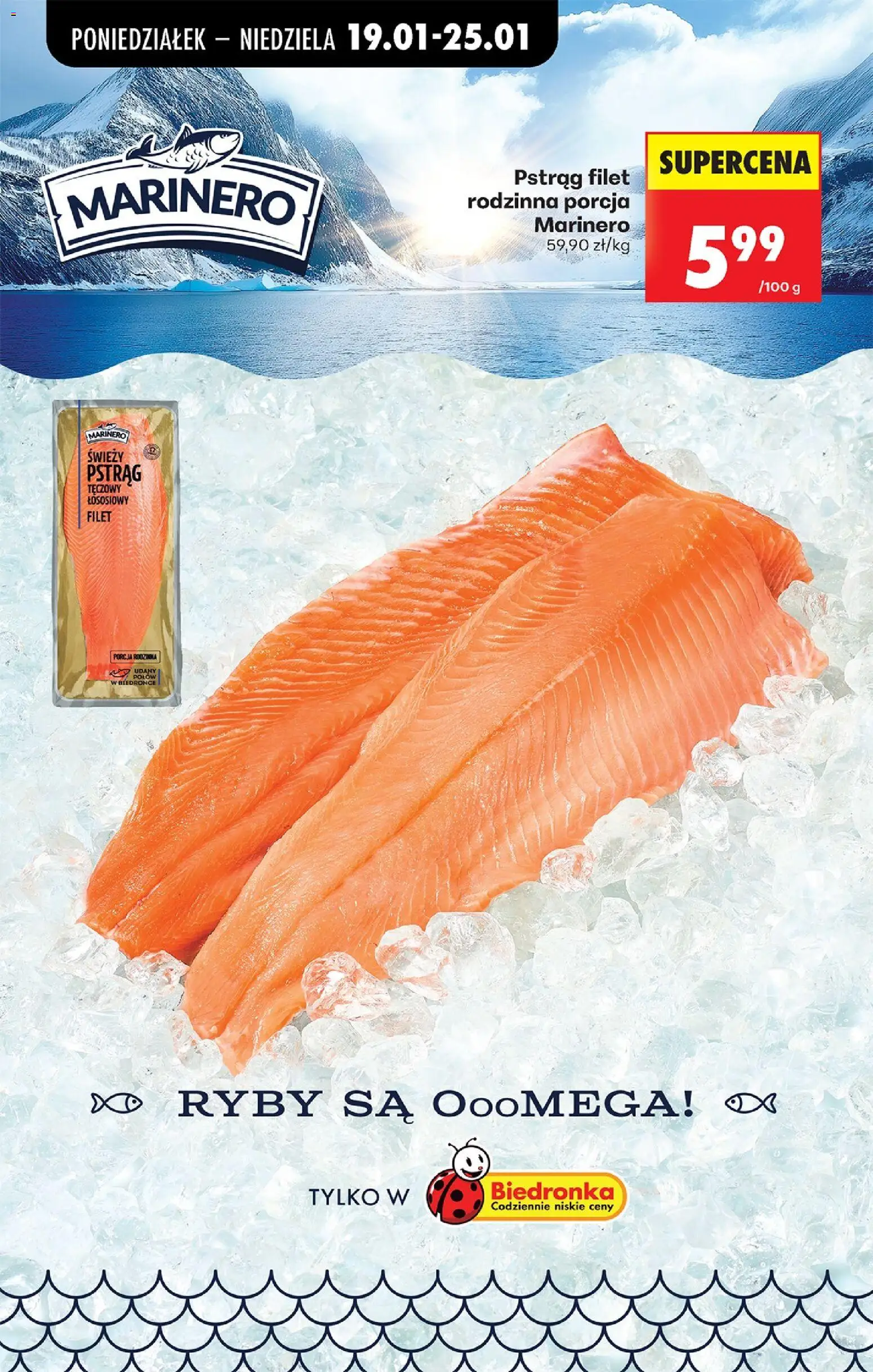 Biedronka gazetka od 19.01.2026 | Strona: 49 | Produkty: Karta, Jogurt śmietankowy, Serek homogenizowany, Jogurt owocowy