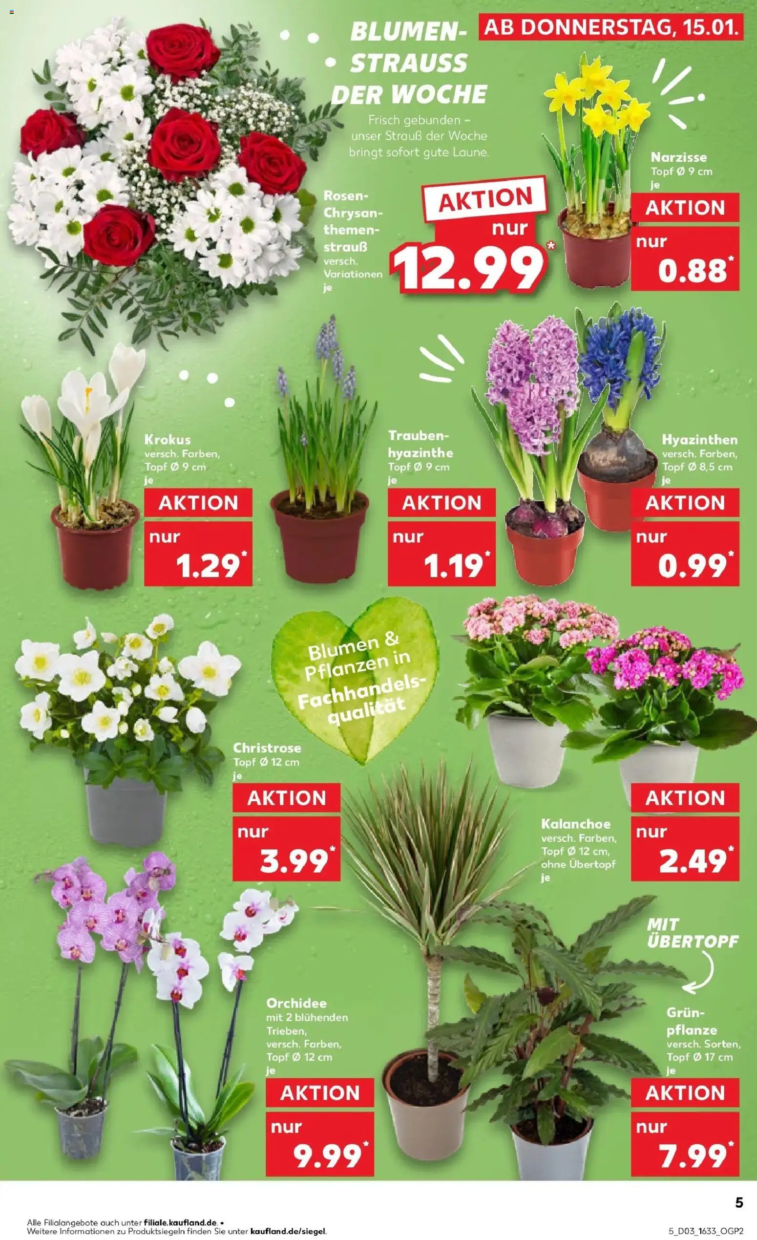 Kaufland prospekt Neustadt An Der Donau	 – gültig ab 15.01.2026 | Seite: 5 | Produkte: Trauben, Orchidee, Blumen