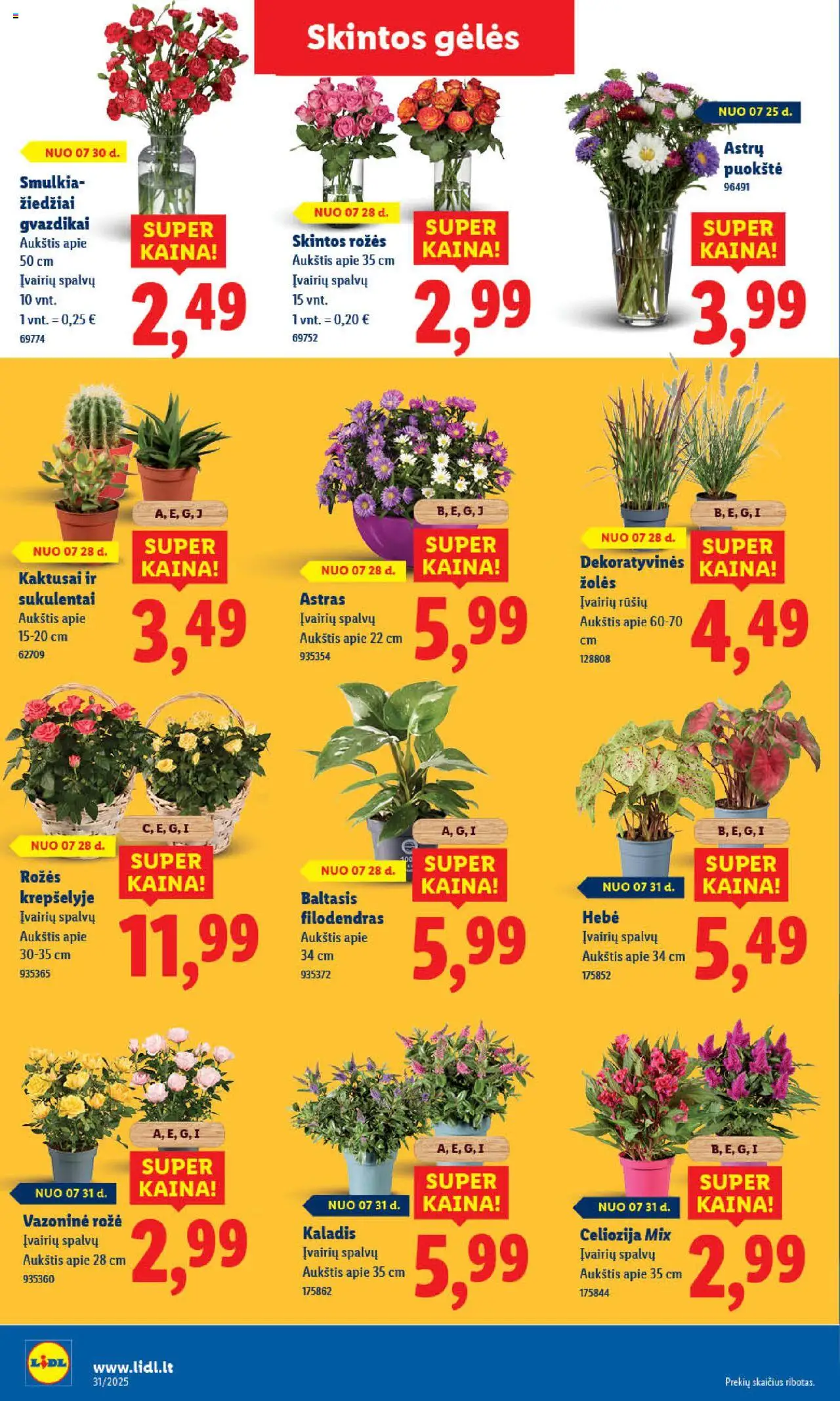LIDL - Leidinys│galioja nuo 31.07.2025 | Puslapis: 46