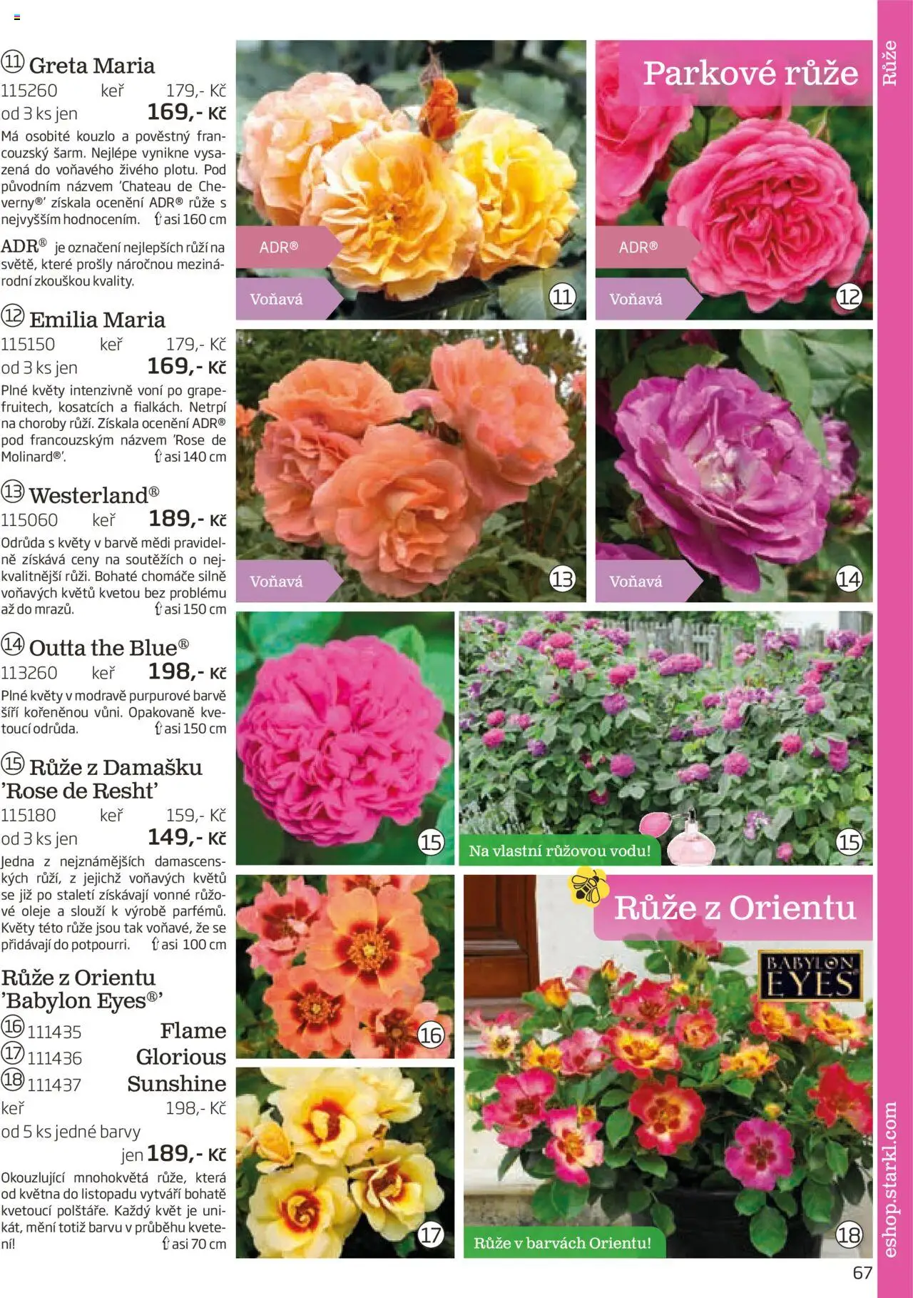 Starkl katalog podzim 2025 od 01.08.2025 | Strana: 67 | Produkty: Oleje, Barvy