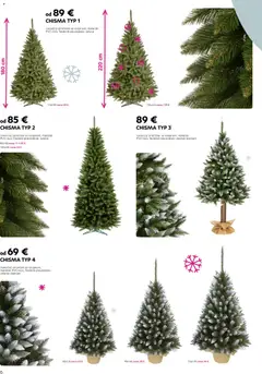 Kondela leták platný od 17.11.2025 | Strana: 6 | Produkty: Vianočný stromček