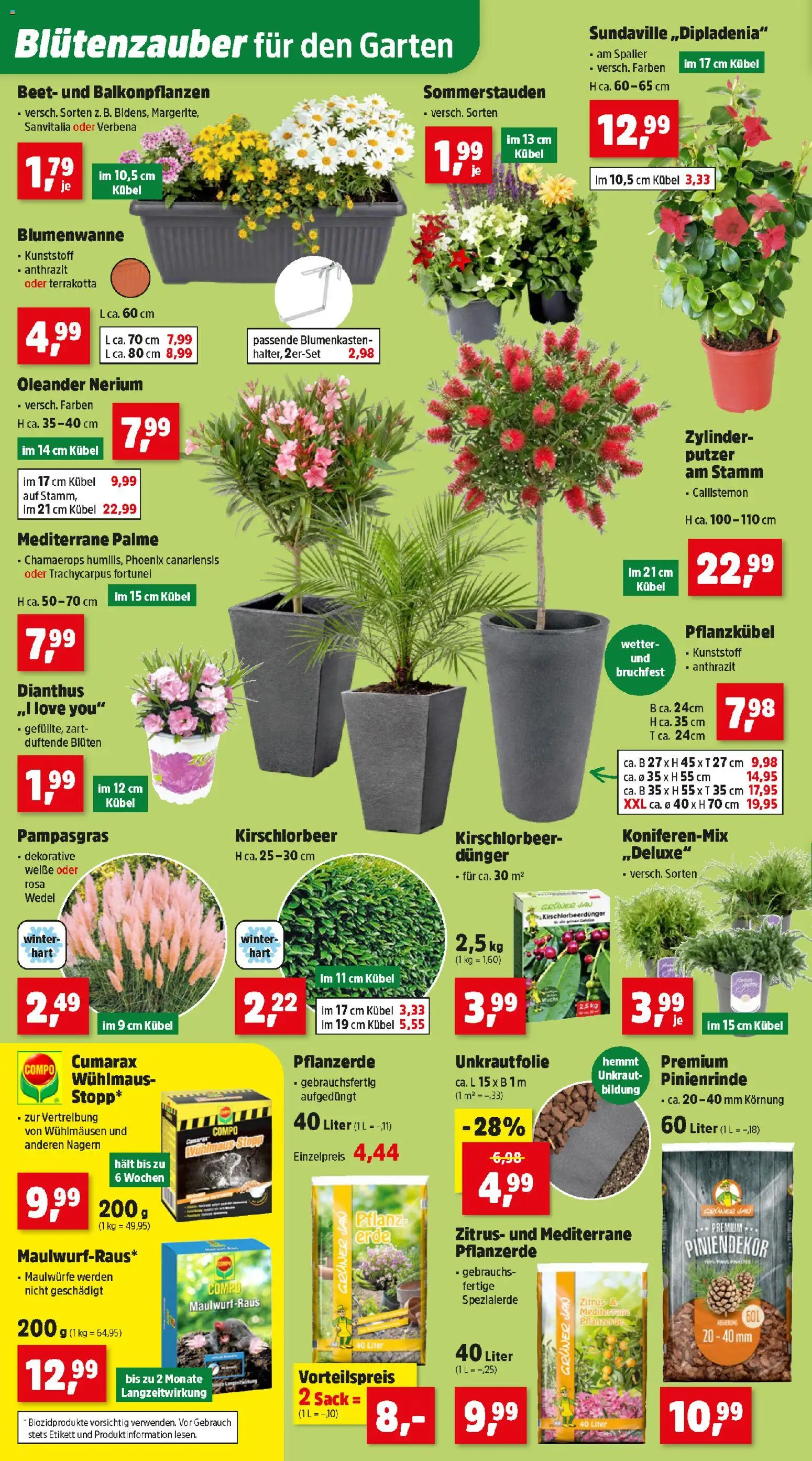 Thomas Philipps Flugblatt gültig ab 20.04.2026 | Seite: 6