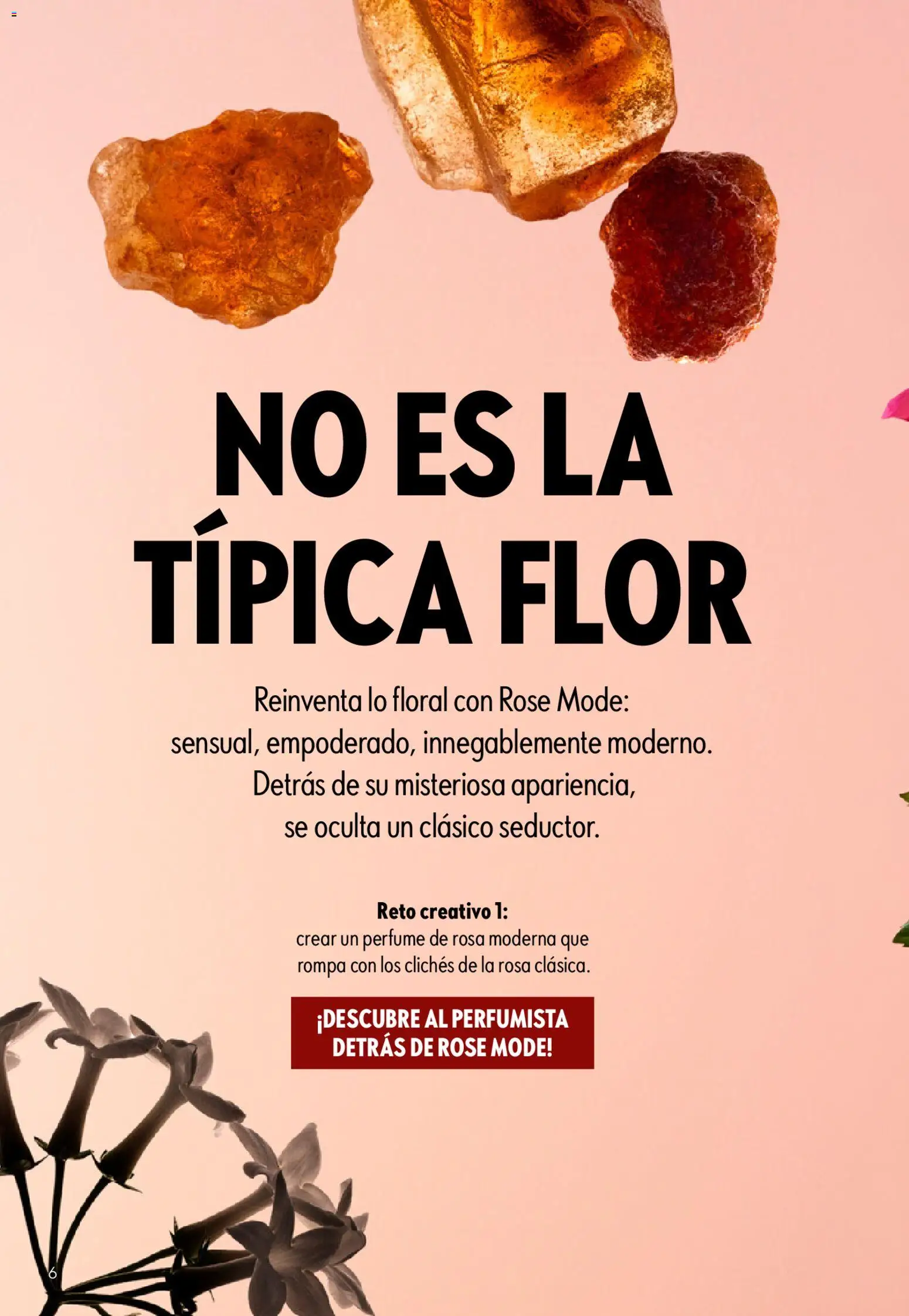 Oriflame - Catálogo Campaña 6 │ válido desde el 22.04.2026 | Página: 6 | Productos: Perfume